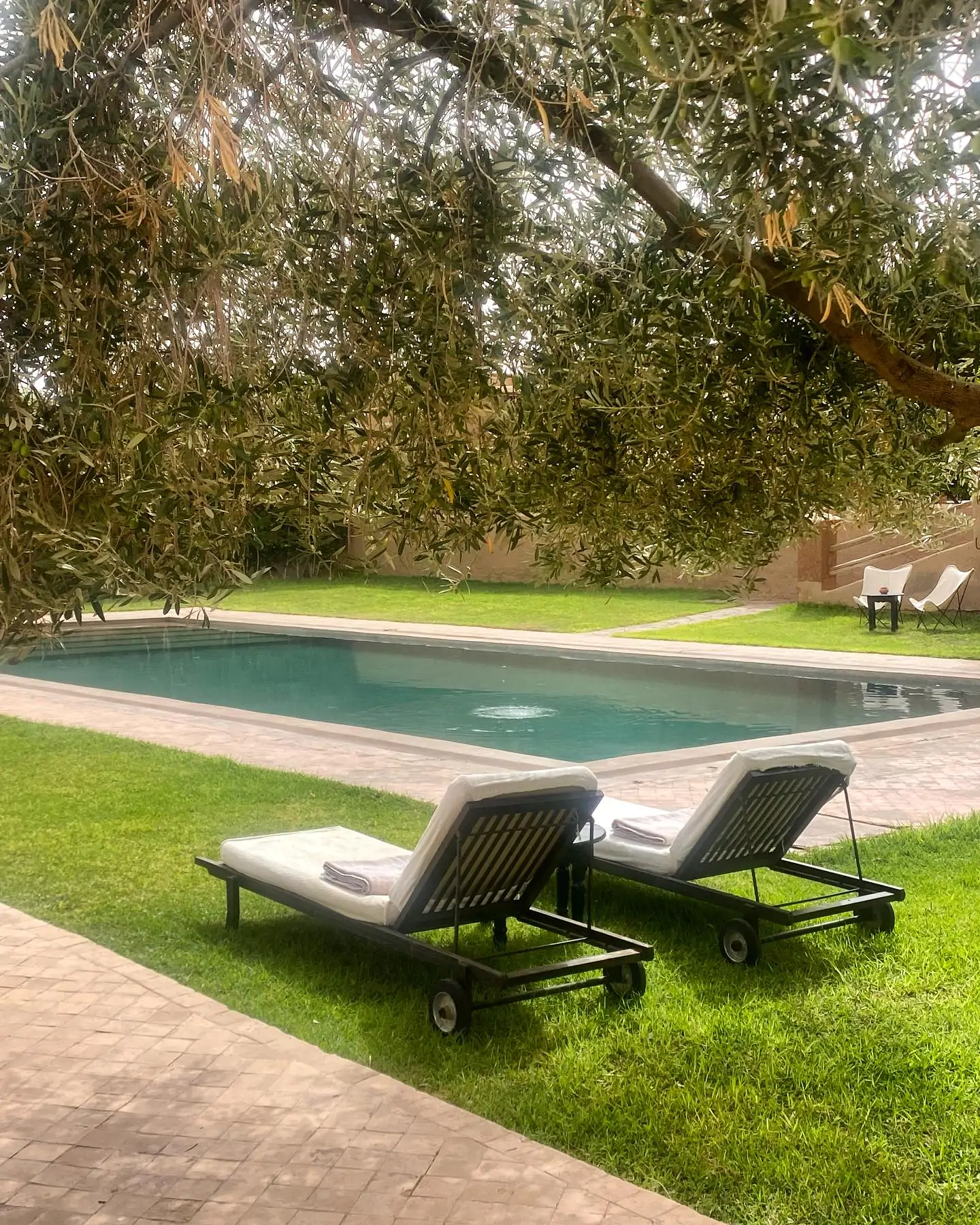 hotel promotion marrakech marketing Jnan Riad